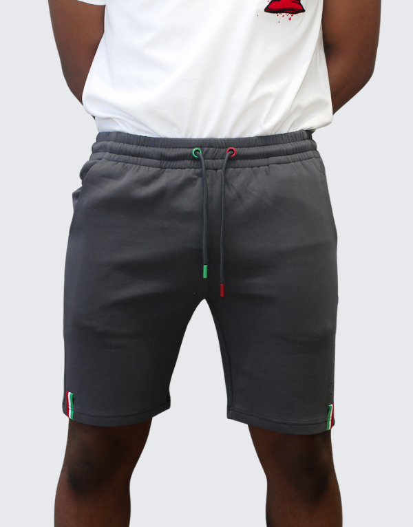 Pure Premium Lono Shorts In Grey Men